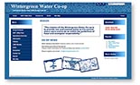 Wintergreen Water